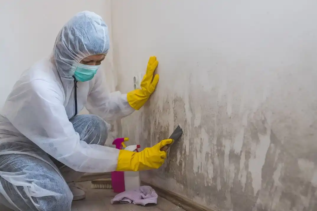 water damage restoration service The Northwood